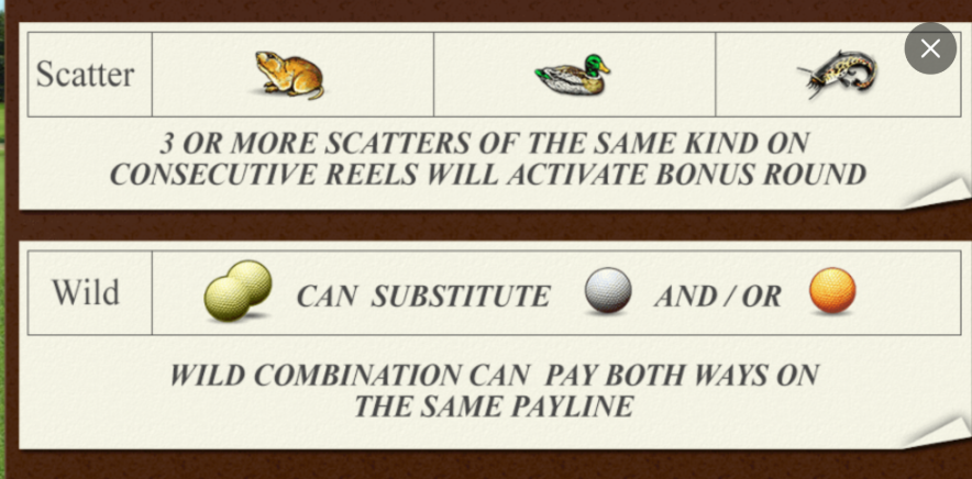 Best online casino in Malaysia